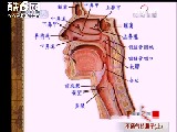 鼻子不通气的原因有哪些？