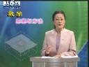 数学思想与方法视频教程