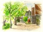 水彩画教学视频(四川美院)