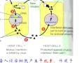 上海交大现代生物学导论教程
