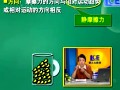 中考必胜之物理视频教程