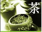 中国茶艺教学视频