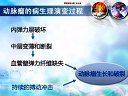 自发性蛛网膜下腔出血的诊治方法