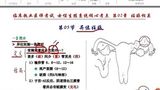 妇产科教学 异位妊娠的基础知识