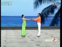 伦巴花样视频教程（精品版）