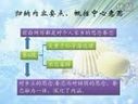 高中语文大纲解密教程（全集）