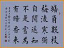 毛笔正楷书法示范教程