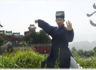 武当传统太极拳108式