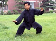陈氏洪派太极拳