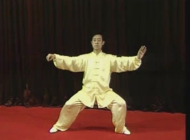 陈氏太极拳老架一路