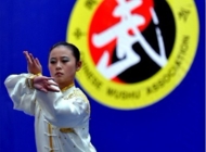 李德印88式太极拳
