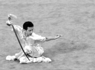 陈氏太极剑