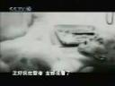 外星人发现解剖纪实教学视频