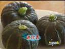 瓜果蔬菜现代农业种植技术教学视频
