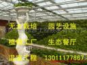 园艺设施设计应用教学视频