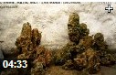 山水盆景布局制作教学视频