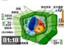 高中生物大纲解密实用教程