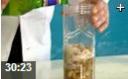 发酵床养猪技术应用教学视频