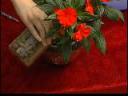 花卉无土栽培种植技术教学视频