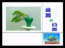 中国盆景园林制作艺术教学视频