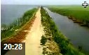 人工湿地管理技术教学视频