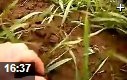 农业种植科技知识视频讲座