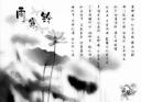 经典中华古诗词诵读教学视频