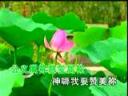 赞美诗歌文学作品朗诵教学视频