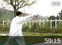 华岳心意六合八法拳