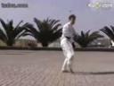 ITF跆拳道特尔教程