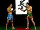 泰拳<em>入门</em>与实战视频教程