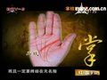 掌纹的秘密讲座视频