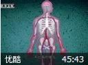 食物中的“脑黄金”