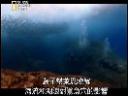 海洋探秘鲨鱼洞穴的秘密教学视频