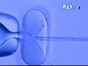 世界首例克隆人诞生全程视频记录