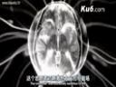 高智商生物神秘接触教学视频