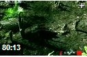 动物灭绝原因科学探索视频教程
