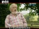 专家解密达芬奇密码视频教程