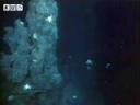 解密海底世界你所不了解的真相视频教程
