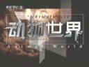 《动物世界》自然动物科学探索视频教程