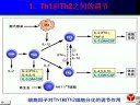 医学免疫学