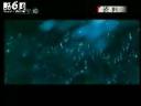 《百科探秘》千古谜题解密教学视频