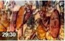 欧洲古代历史讲解教学视频
