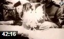 纪录片《世界大战100年》战争全程记录