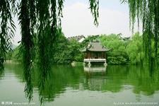 画印西湖纪录片视频(全集)