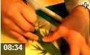 水果拼盘制作方法教学视频