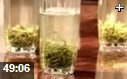 经典中华养生美食文化解读教学视频