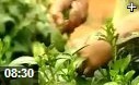 茶文化探讨与养生教学视频