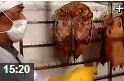 各种食品加工工艺教学视频