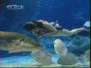 热带观赏鱼浴缸养殖技术教学视频